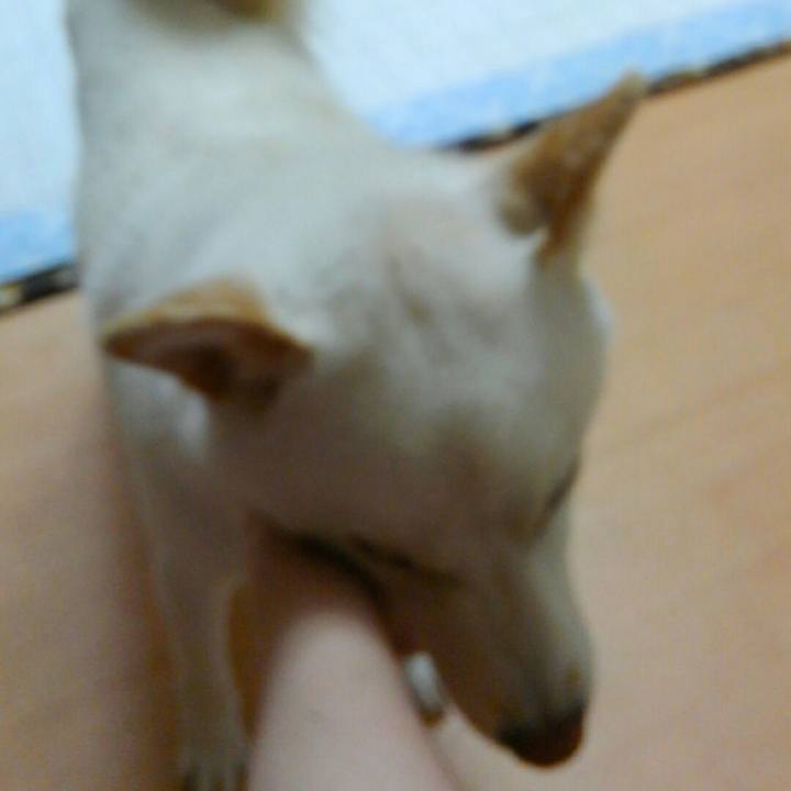 Fdc97dba 31d0 413f 8da0 ad89da90f6ec