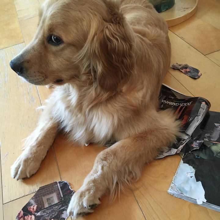 Fdca922b a1c1 493d bc7c df5fa4ed721c