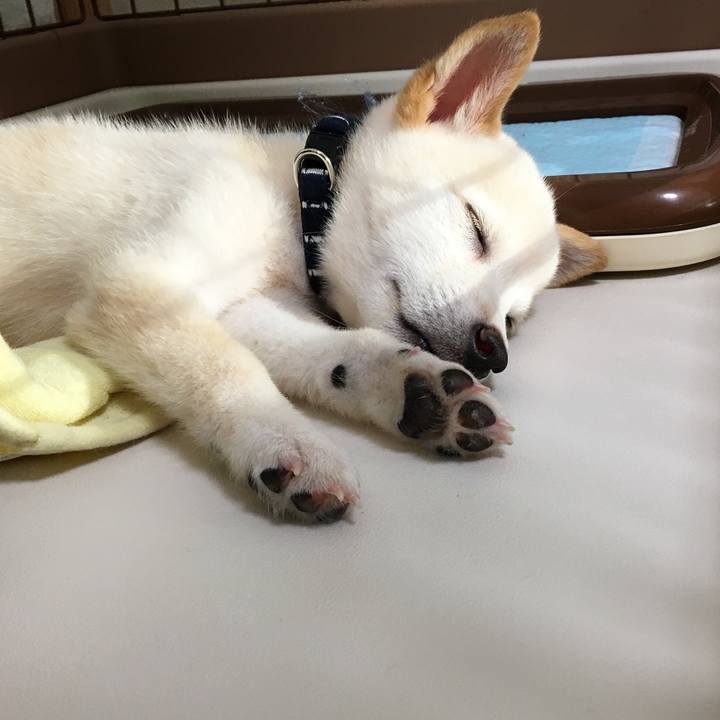 Fdcacef8 14d3 4498 9a52 b7c7a34e93bc