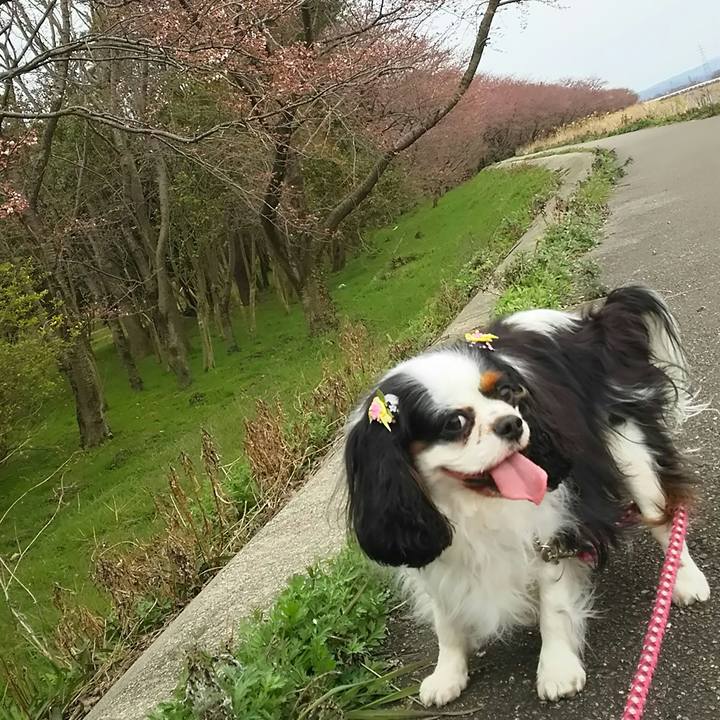 Fdcad401 829b 43d8 bb47 661ae5d93864