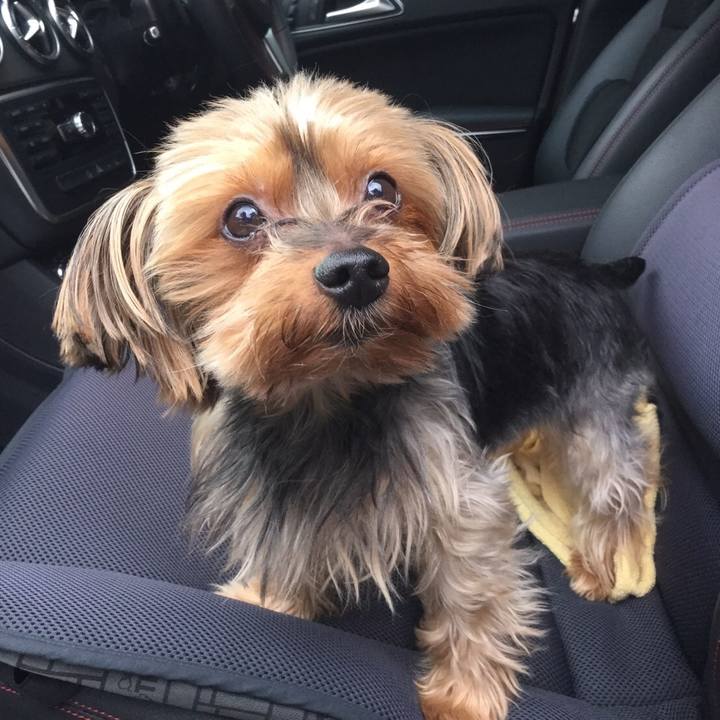 Fdcae5a0 cb0e 4d71 9b3c e806efb34f54