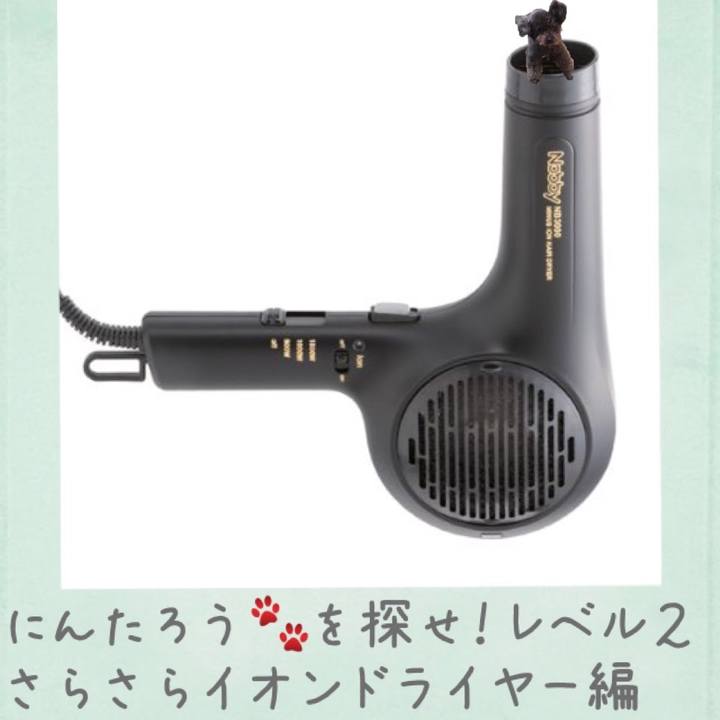 Fdcc09b4 4c56 4e0b 8f22 e3c7bfab0080