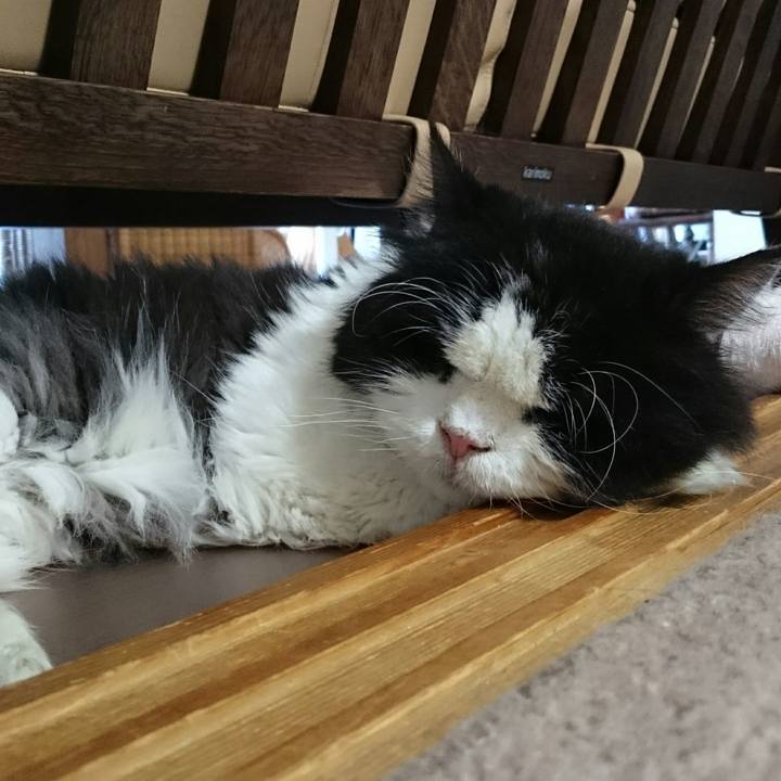 Fdcce3e8 d3b9 4dbd bf20 d7e0e1e09a31