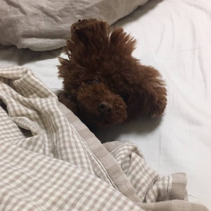 Fdcd3ae8 d552 4e5d acc4 a1af98fa44d9