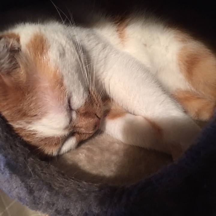 Fdcd4bc1 06fa 4557 bd98 8e5669cb5aca