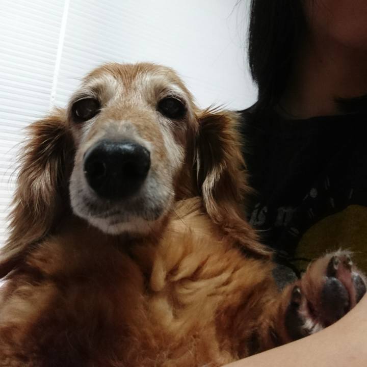 Fdcd92ef e102 462b 87e8 07e60f0b0822