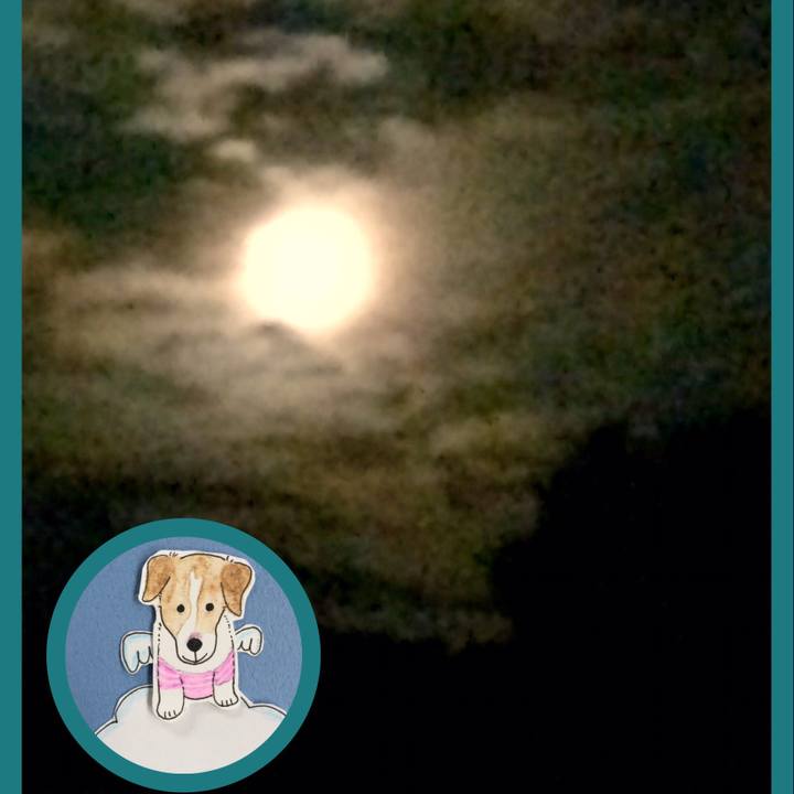 Fdcda196 86ff 4e26 9cc9 37e2d37b6883