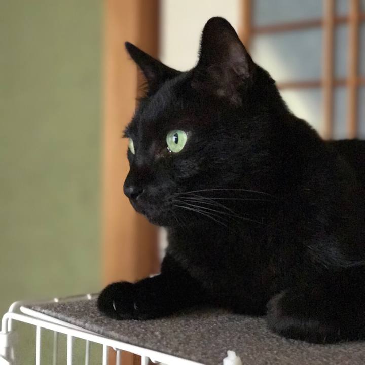 Fdcdfc8b da01 4415 8df3 1d3c2b6b0d82