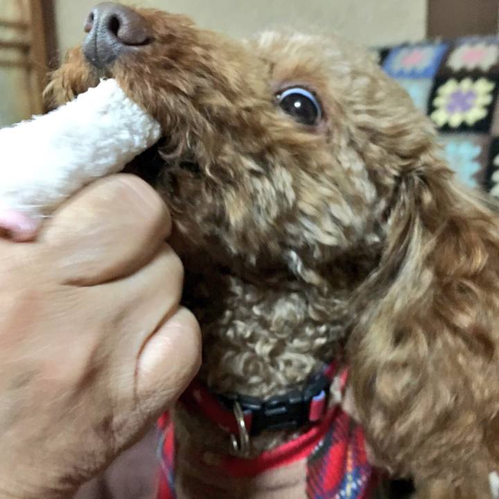 Fdcef5dc 275b 40e4 906a e57b9fea8e21