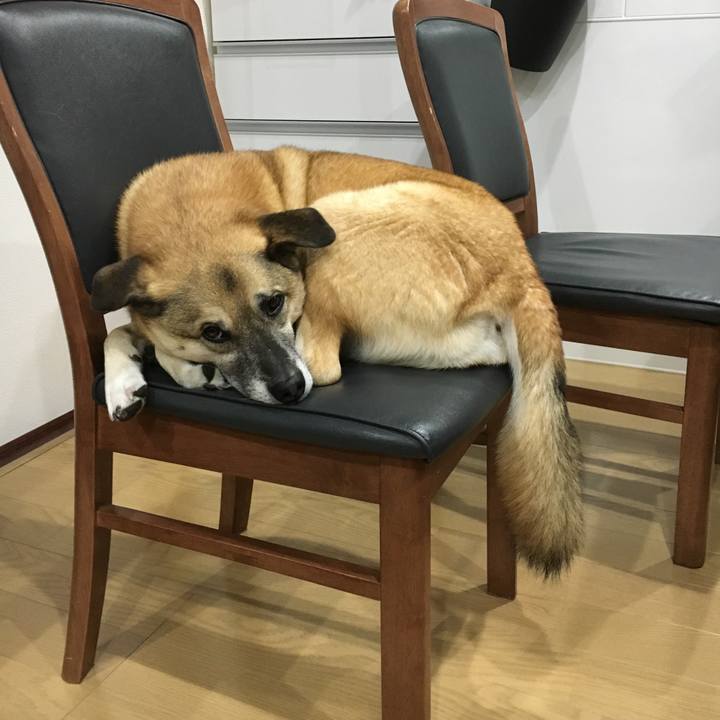 Fdcefeb7 8389 43c3 8f16 7f4cac37c599