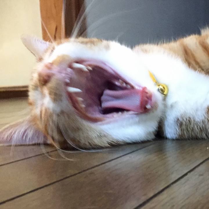 Fdcf5e79 a063 44c3 b9bb 45006b41411d