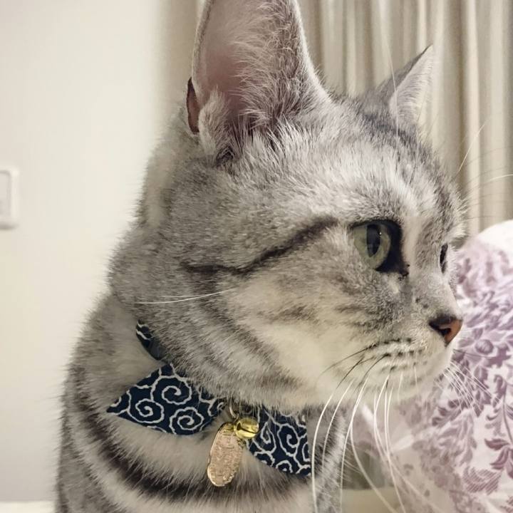 Fdd099a6 cf12 46a7 a14c b2dd2c468ff9