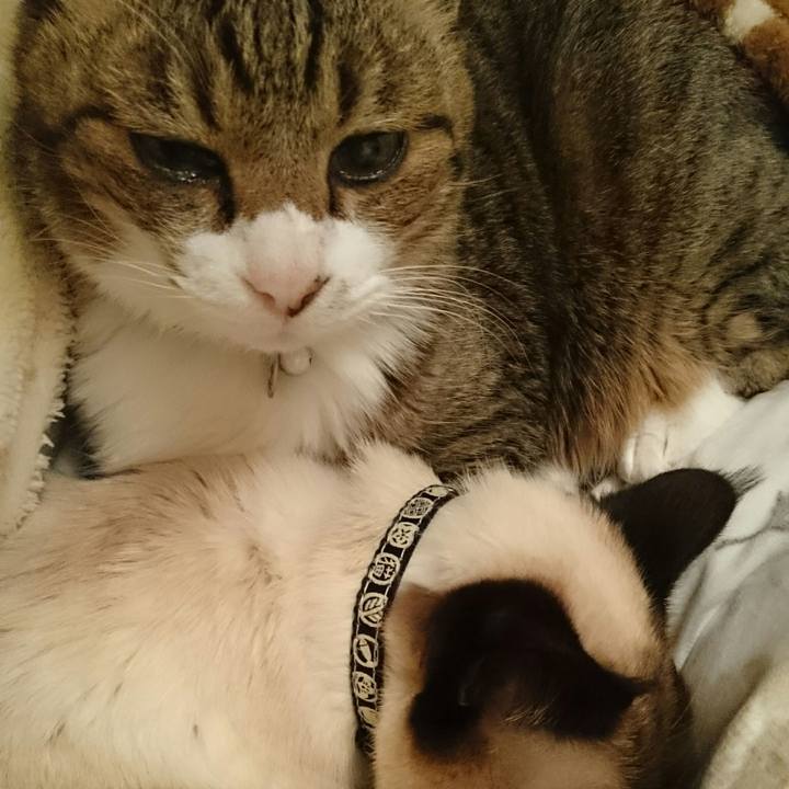 Fdd0e5a7 c033 449d 8ce0 279a1eb9561a