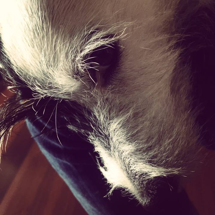 Fdd0f5d7 aaf0 4627 8dcb 56a02df3845d