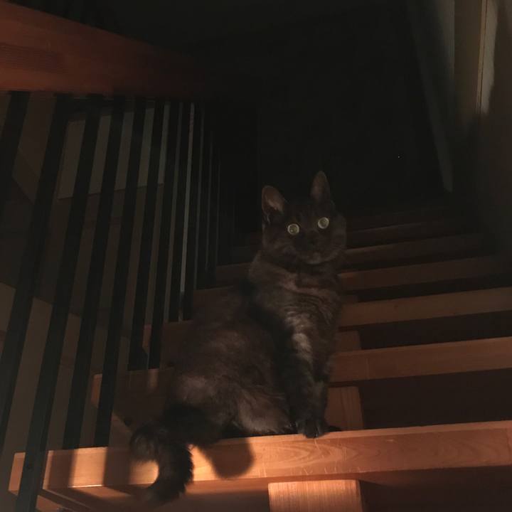 Fdd1f950 c041 4648 a19c 2fa065b790e0