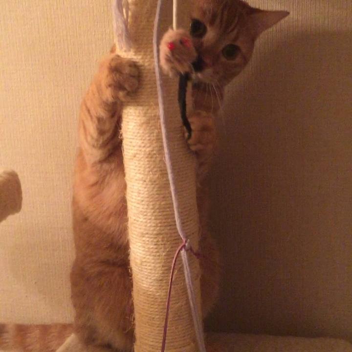 Fdd29c46 c8bc 4907 9541 3b3395c4f2c5