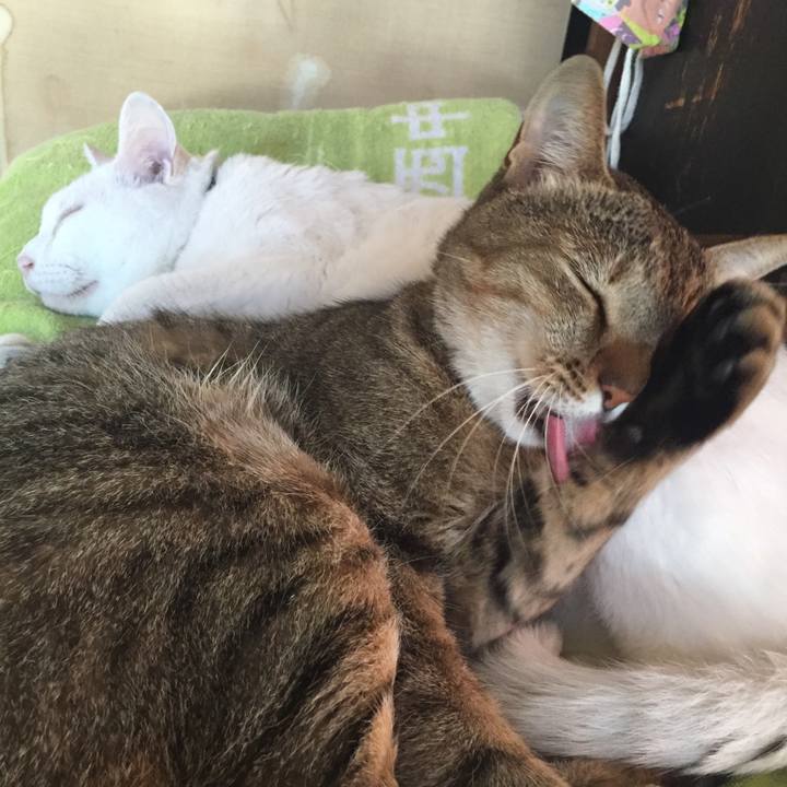 Fdd34bd8 8d44 45fc a098 2730330d157d