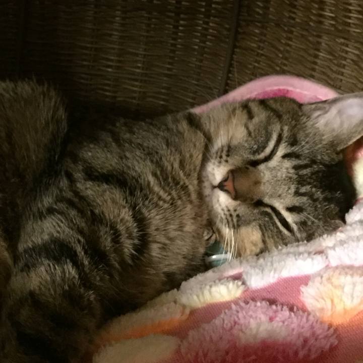 Fdd36fef 2634 4778 8b7d 881294cf538f