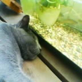 Fdd55f72 6b3d 4cdf 8fe1 811a8f4b04f3