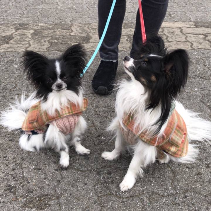 Fdd5cbe2 c179 4b13 bfe6 d2b4a20f1868