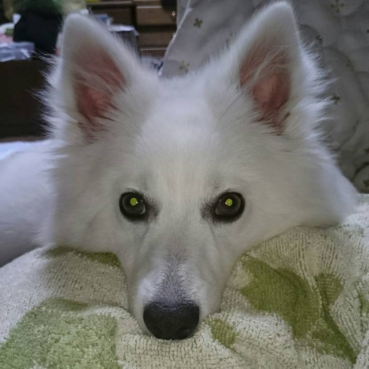 Fdd5de96 7d7c 4bc4 84d9 06c119f37621