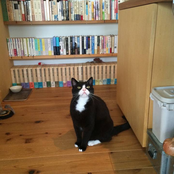 Fdd67036 d3cc 46f4 901d dcfdba680f64