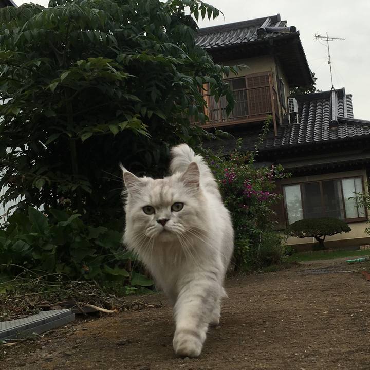 Fdd7c2f6 023a 4a95 9bad d8778570e9e9