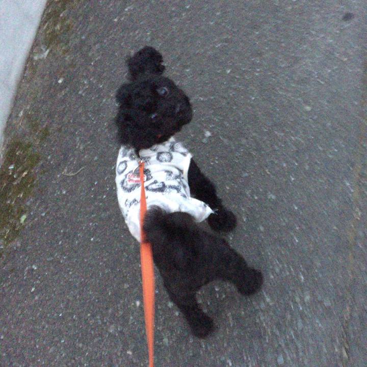 Fdd7dbee 6365 45e7 aa1a 4c961fcfb98e