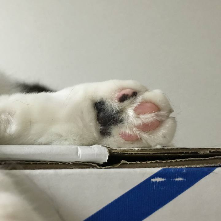 Fdd7f2d6 8611 47e6 8bc3 64fc4e9a939f