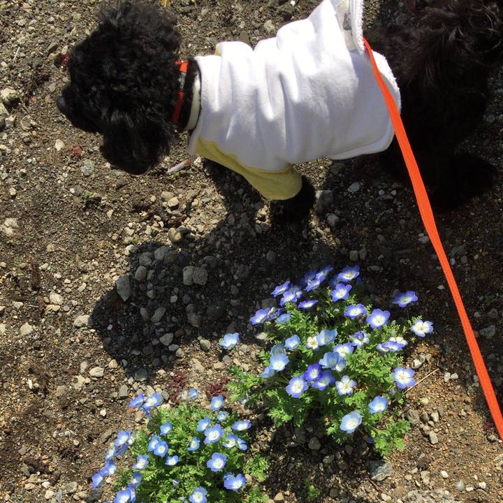 Fdd82d48 1616 4ab8 9588 7d1b8d5bae8b