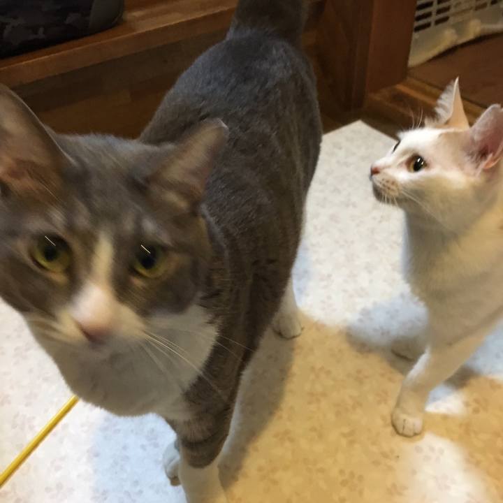 Fdd9035a 0d5e 4dfb bc4a 1428b6b6ad4c