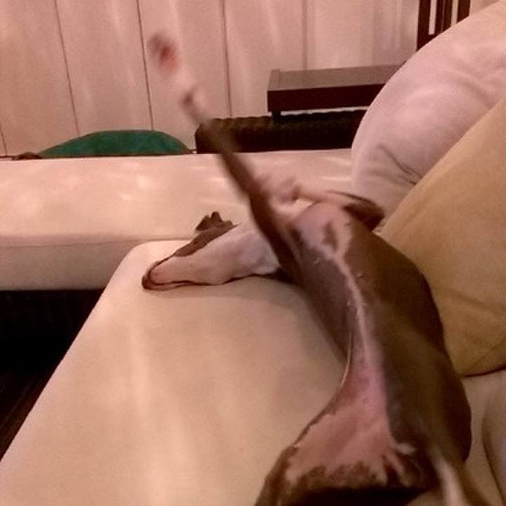 Fdda9662 7348 4a6f b1c3 578e6cada650