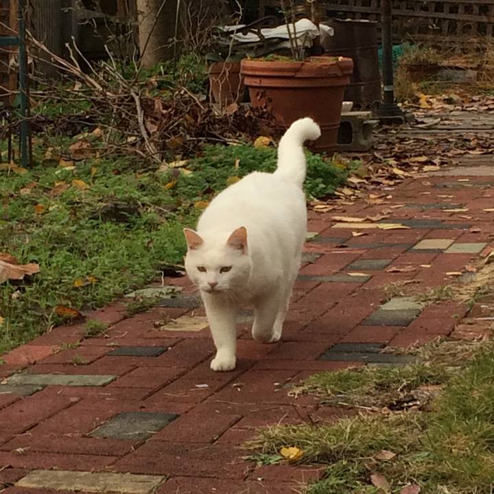 Fddacb8e 65d0 4ac6 a714 c1ab7b8186cf