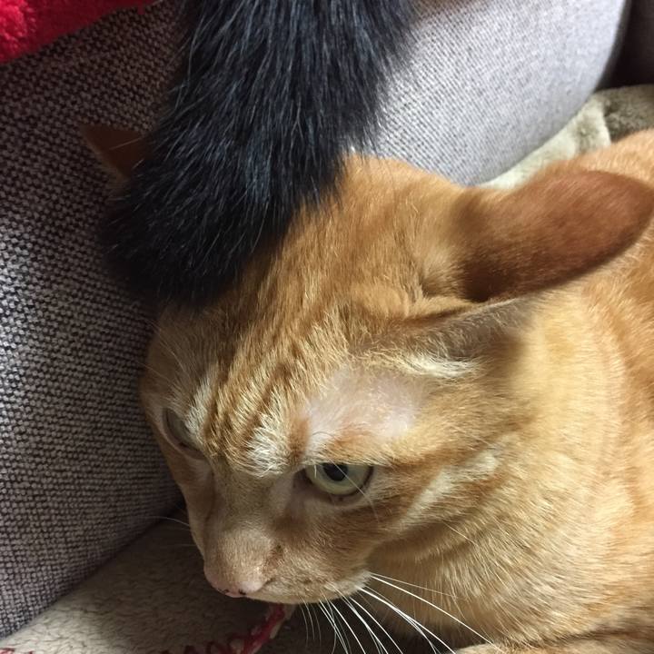 Fddad445 e812 4e02 825e 4486a6e5aeea