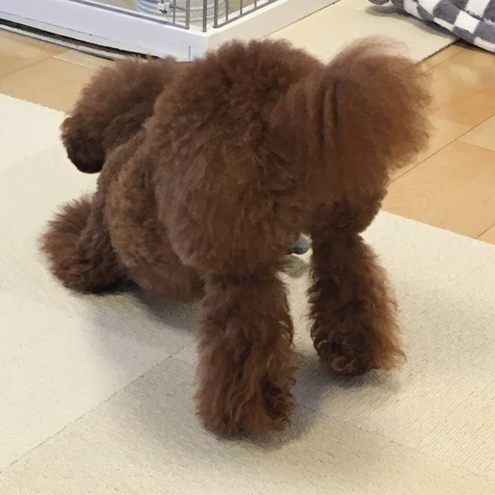 Fddae2e6 a25a 4497 b857 b7dae54a3fa5