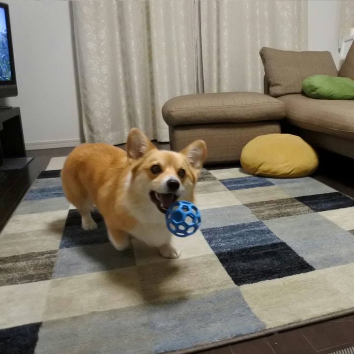 Fddb10b8 2eaf 4516 a593 c286e1466e82