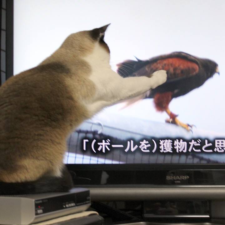 Fddb7172 94ea 48b9 a63b fafa828edea7