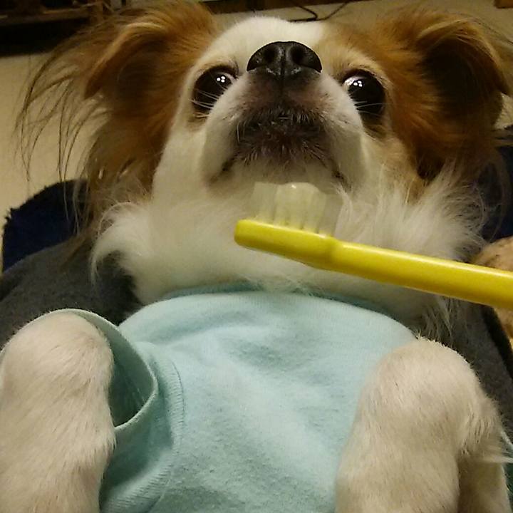 Fddbb7a8 6f17 4ae4 b49f d113943764ee