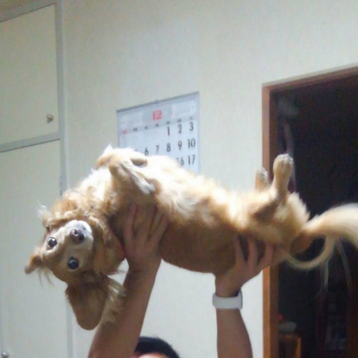 Fddc0441 256a 4034 bbea 954402a0d8e4