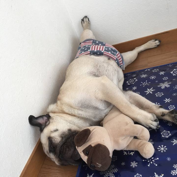 Fdde0a06 10d1 4f3d 8b7b 0fc88e13edb0