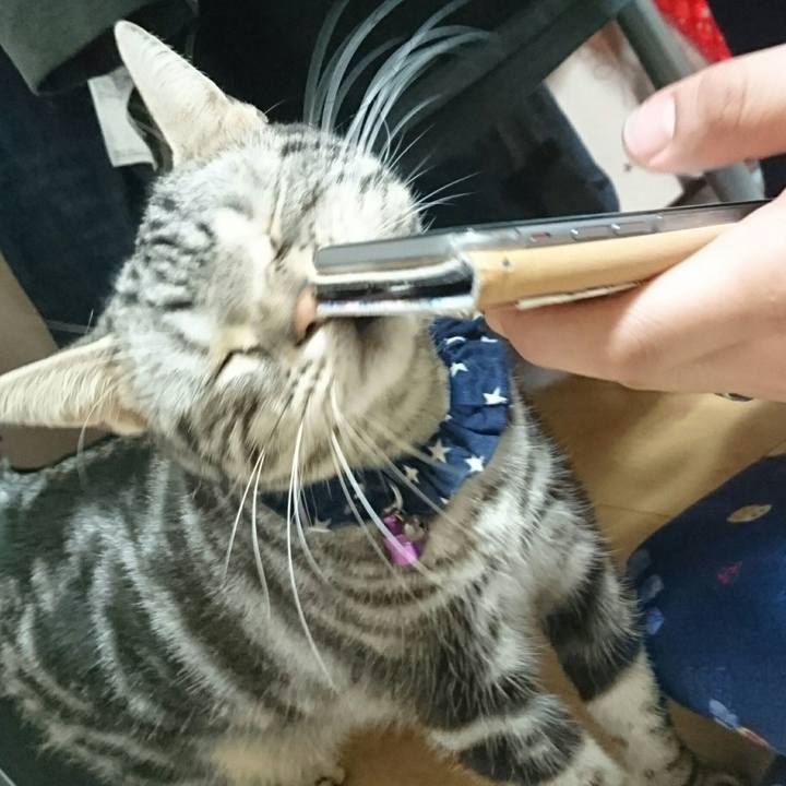 Fdde7a6c c7ed 4692 aab1 c402bddccf58