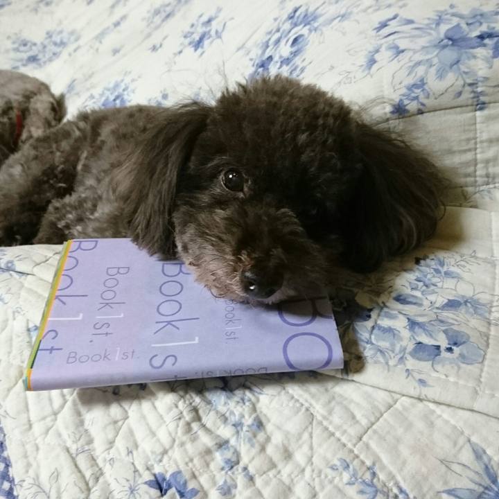 Fdde8b7e adf3 422b ad3c 5e21bb636eeb