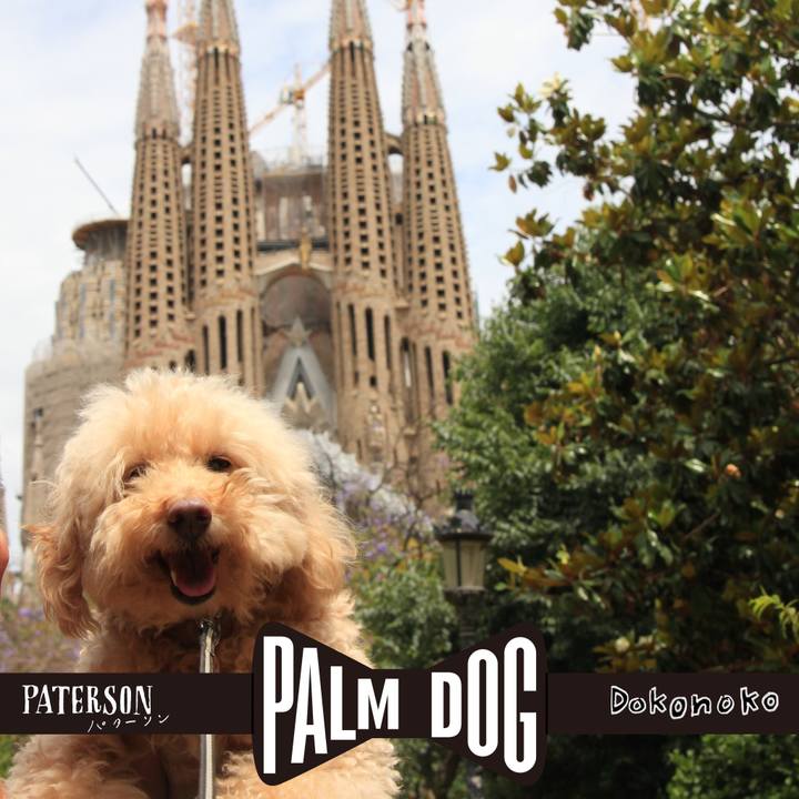 Fdde90e9 a5d7 4333 bc8e 6dd77744fe96