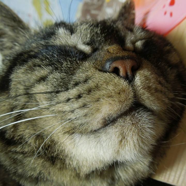 Fddea759 d57d 4dcc 8f0b 2ae0c2c26010