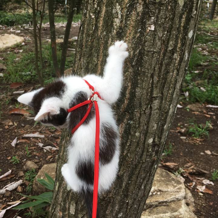 Fde01952 6995 45b9 942c 995fec0486ab