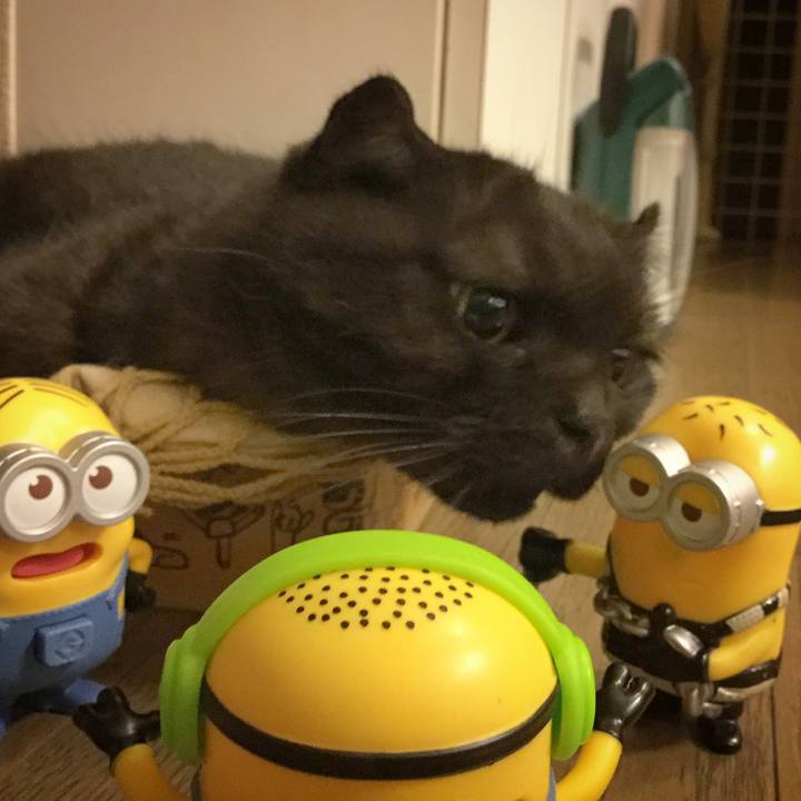 Fde09c4c 939f 4094 9fa6 8fe5d42ea9eb