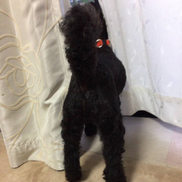 Fde0d86c 00ca 41ac b10c 1a1cf3a836c5