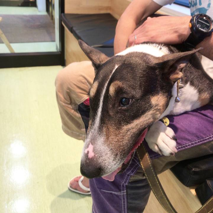 Fde1240e 6bcf 428a ac0d 4fb84f9830af