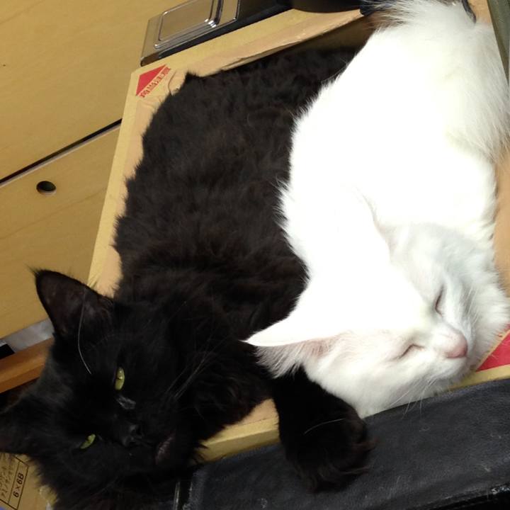 Fde239eb b558 4046 a730 7dbb60a57afd