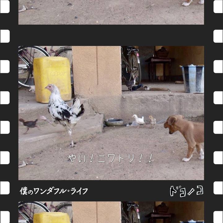 Fde26e22 fa32 4a2a ad51 433c0012caa5